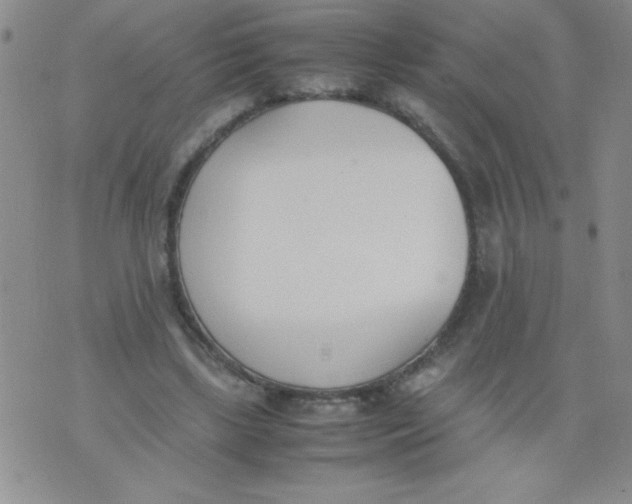 X0000074310443200609152011