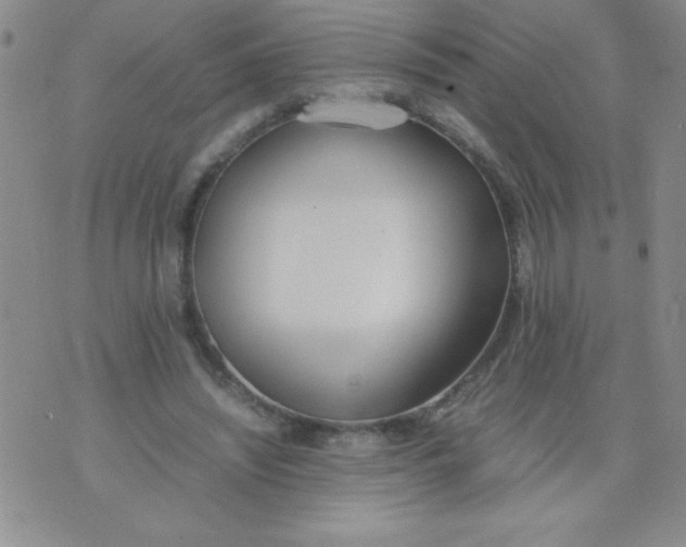 X0000074310444200609152011