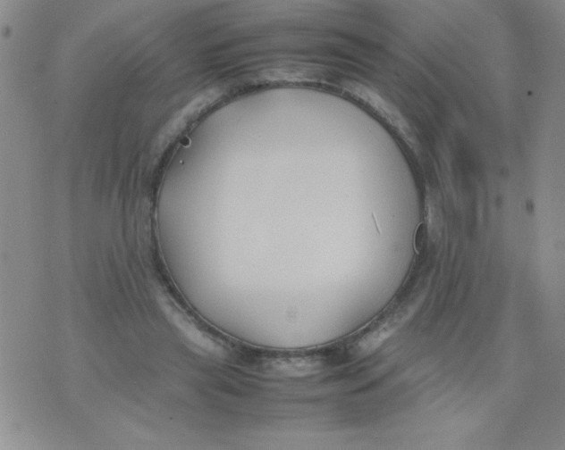 X0000074310445200609152011