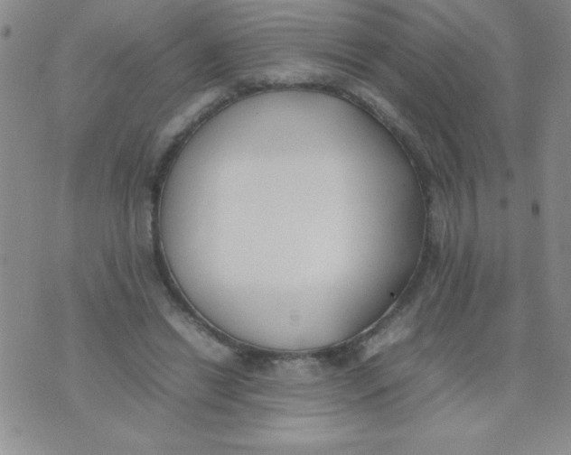 X0000074310446200609152011