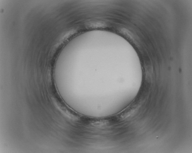 X0000074310447200609152011