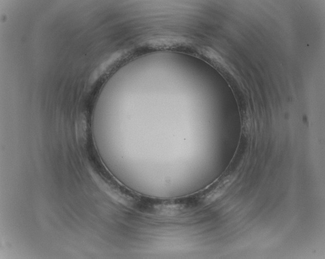 X0000074310448200609152011