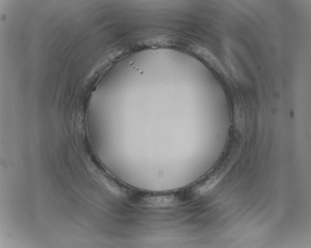 X0000074310449200609152011