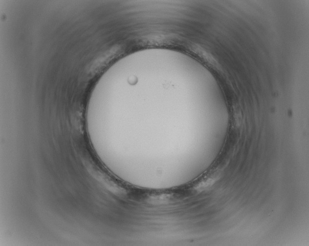 X0000074310450200609152011