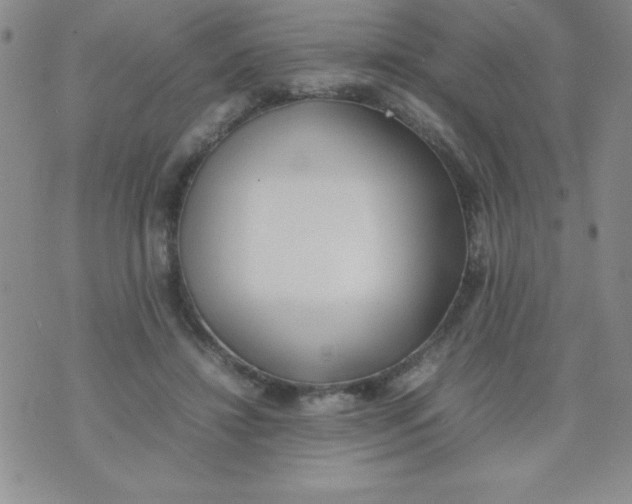 X0000074310452200609152011