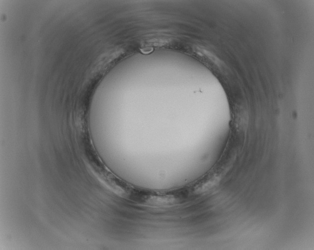 X0000074310455200609152011