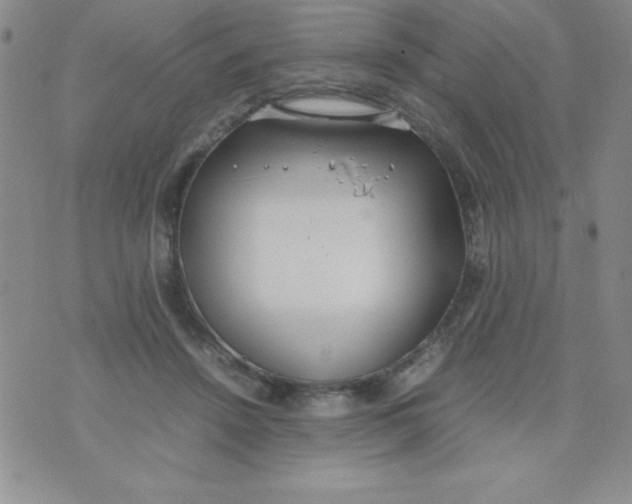 X0000074310456200609152011