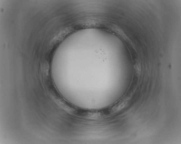 X0000074310458200609152011