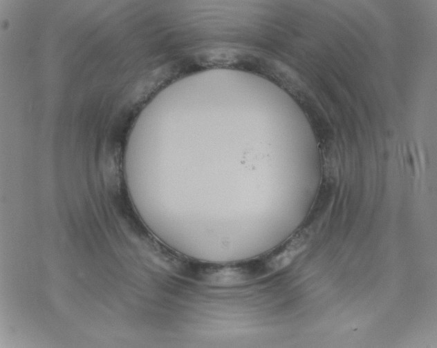 X0000074310460200609152011