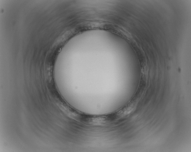 X0000074310462200609152011