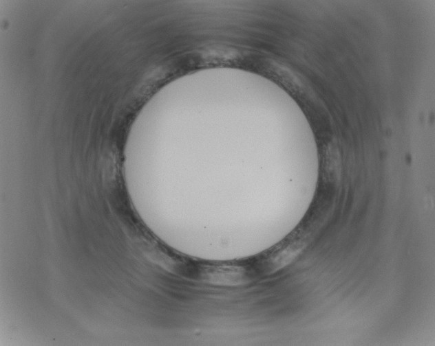 X0000074310463200609152011