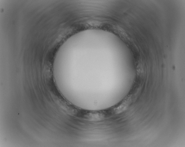 X0000074310464200609152011