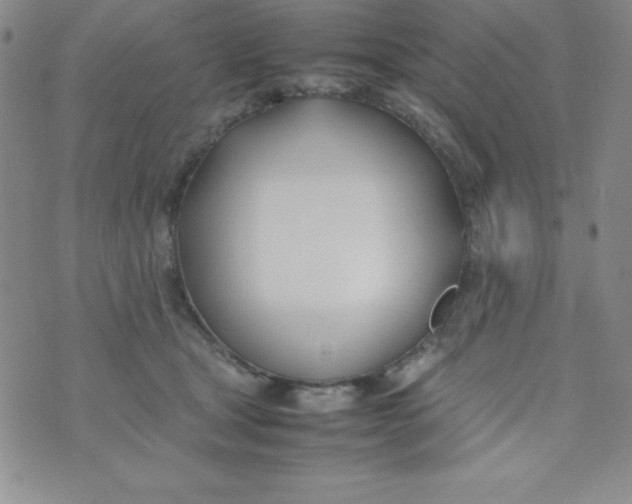 X0000074310465200609152011