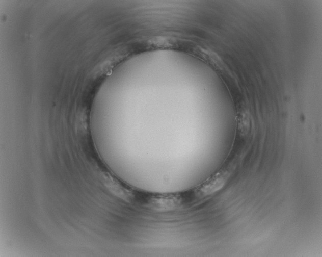 X0000074310466200609152011