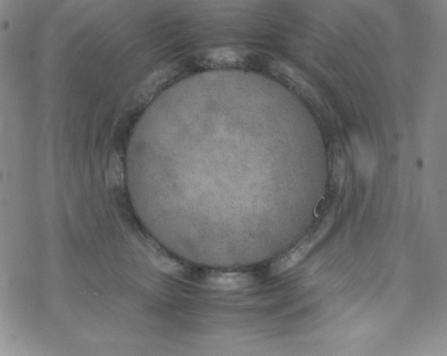 X0000074310467200609152011