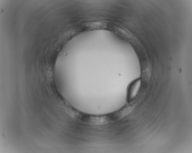 X0000074310469200609152011