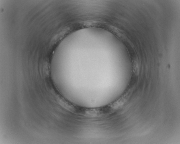 X0000074310470200609152011