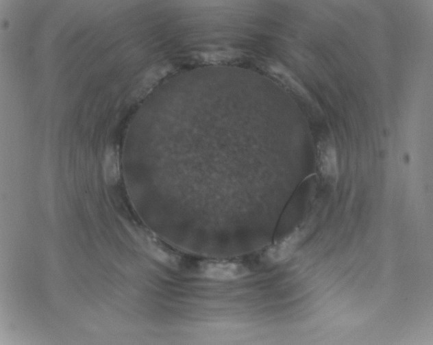 X0000074310471200609152011