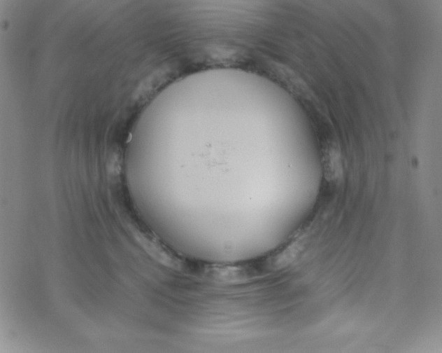 X0000074310472200609152011