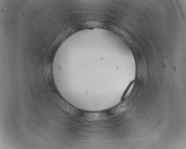 X0000074310473200609152011