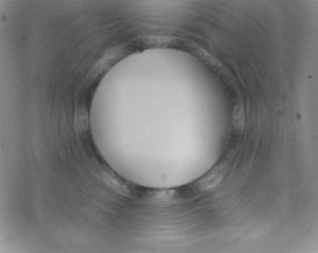 X0000074310474200609152011