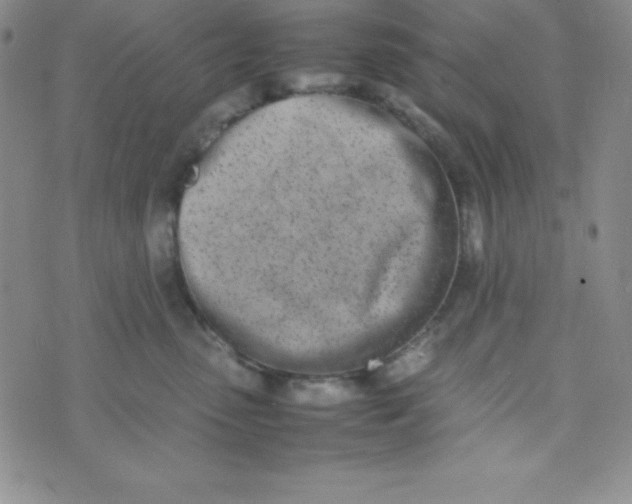 X0000074310475200609152011