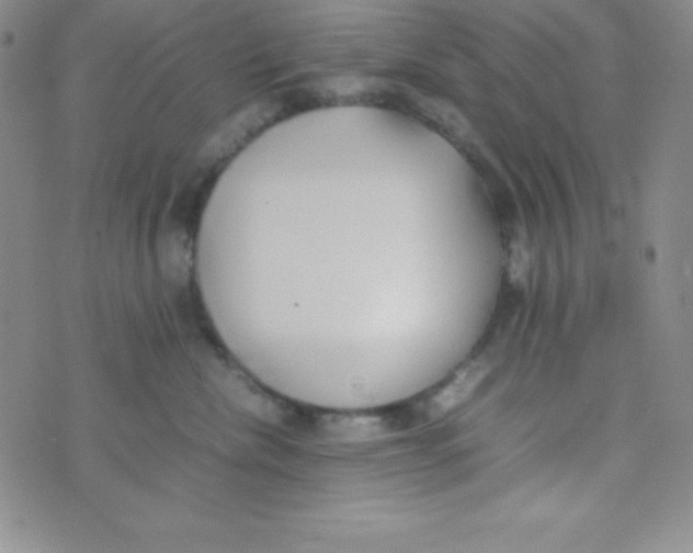 X0000074310476200609152011