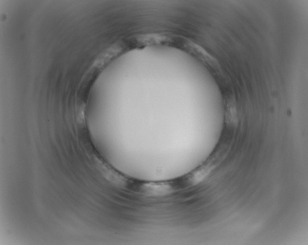 X0000074310477200609152011