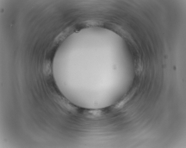 X0000074310478200609152011