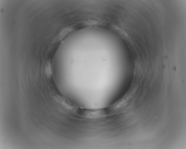 X0000074310479200609152011