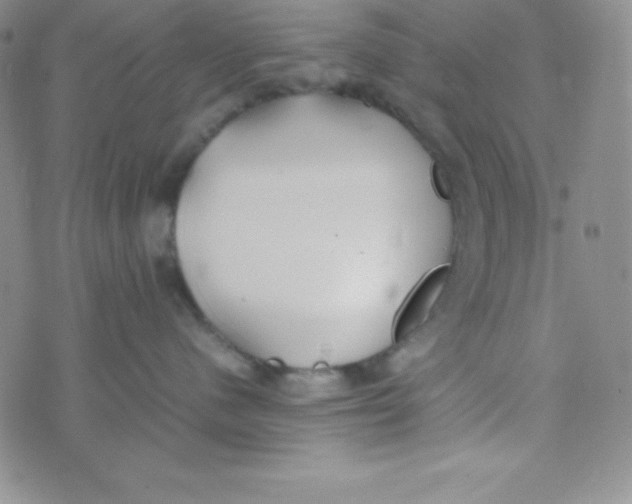 X0000074310480200609152011