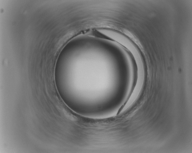 X0000074310481200609152011