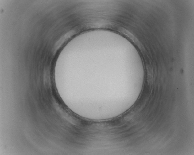 X0000074310482200609152010