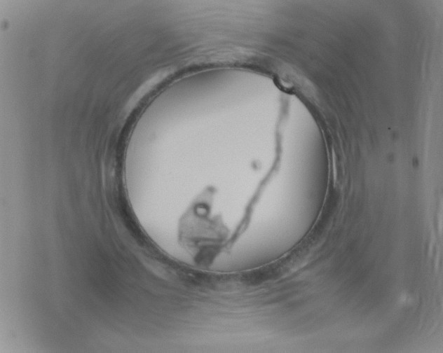 X0000074310483200609152010