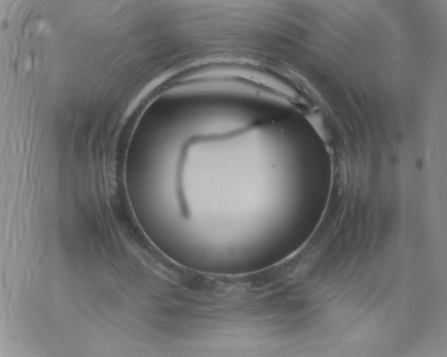 X0000074310484200609152010