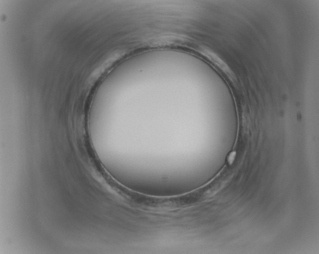 X0000074310485200609152010