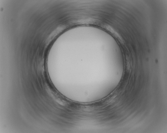 X0000074310486200609152010