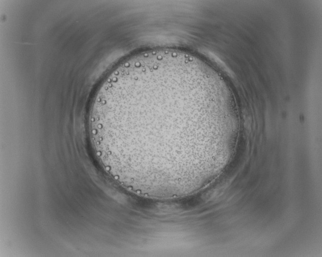 X0000074310487200609152010