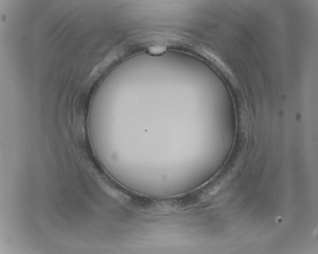 X0000074310489200609152010