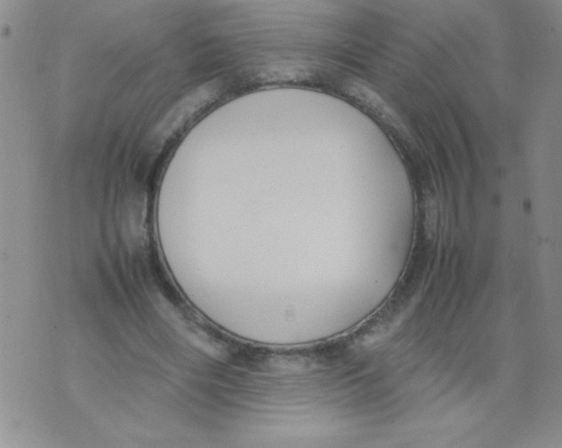 X0000074310490200609152010