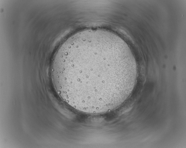 X0000074310491200609152010