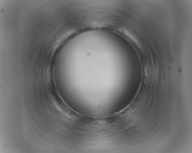 X0000074310492200609152010