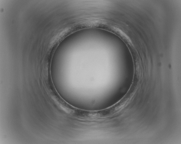 X0000074310493200609152010