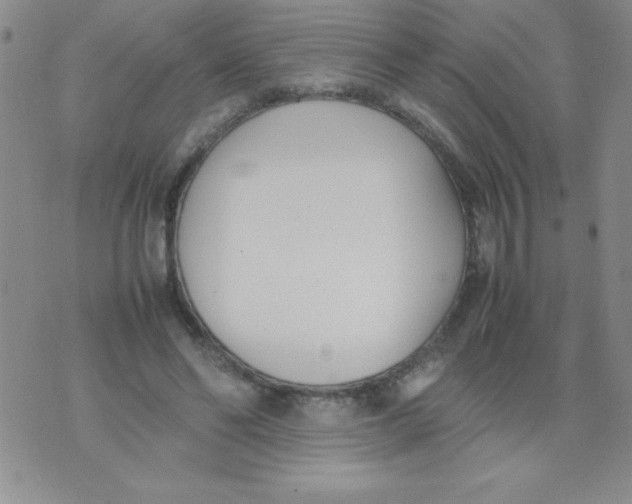 X0000074310494200609152010