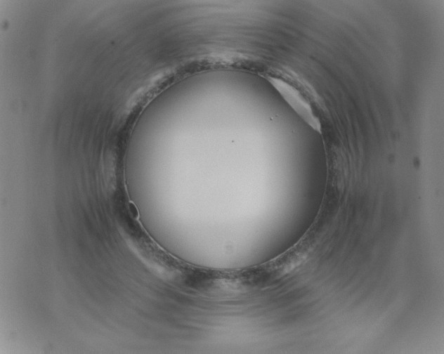 X0000074310496200609152010