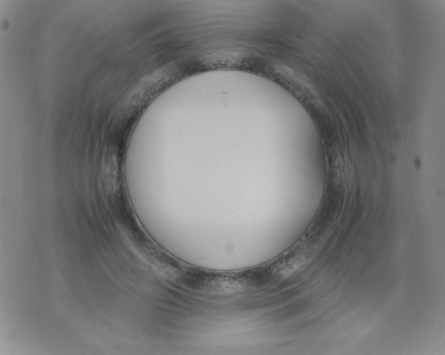 X0000074310498200609152010