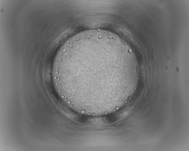 X0000074310499200609152010