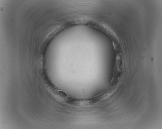 X0000074310501200609152010