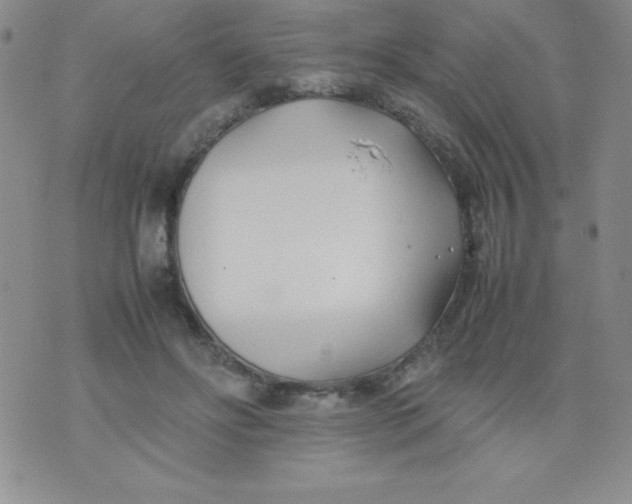 X0000074310502200609152010