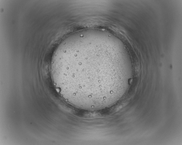 X0000074310503200609152010